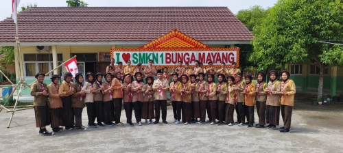 recent-project-img-1